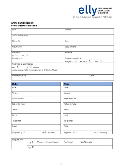 Anmeldeformular Klasse 5 SJ 26/27